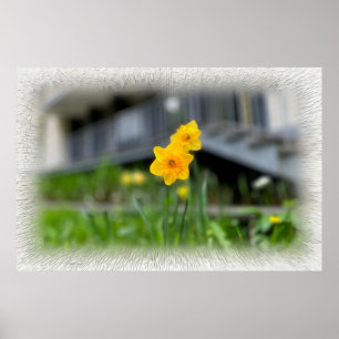Welcoming yellow flowers poster