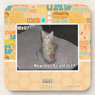 Well? Coaster