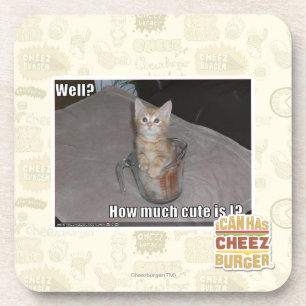 Well? Coaster