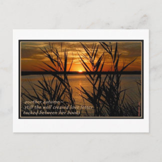 Well Creased Love Letter Postcard