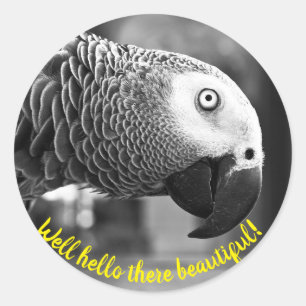 Well hello there beautiful - A creepy grey parrot  Classic Round Sticker