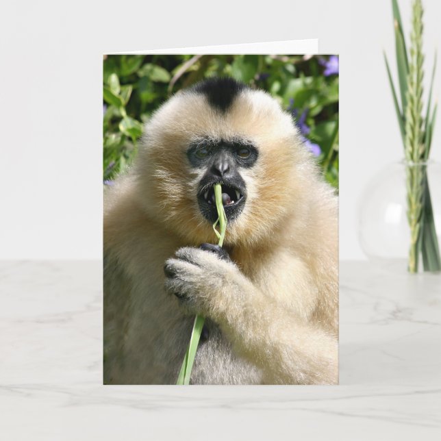 Well hello there card (Front)