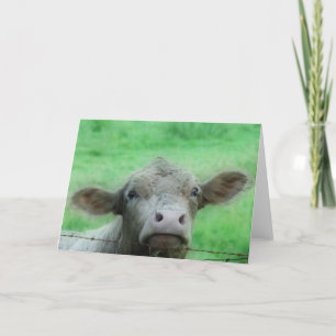 Well, Hello There Card