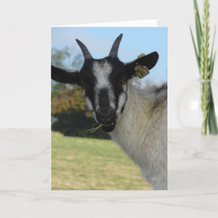 Well Hello There Card