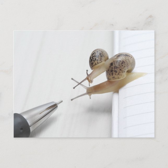 We'll help you study postcard (Front)