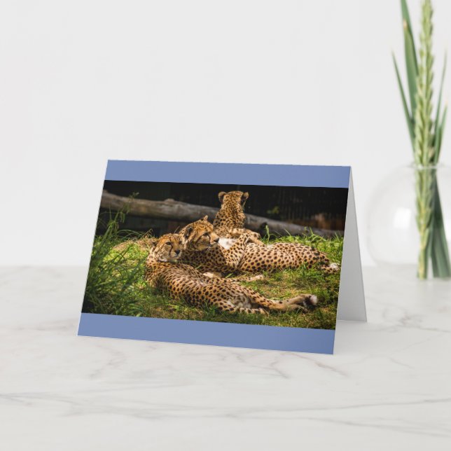 Well I can't see it! Card (Front)