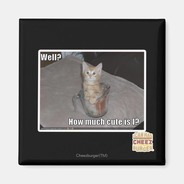 Well? Magnet (Front)