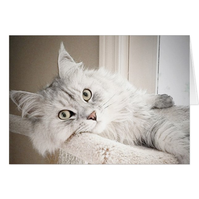 Well, MEOW card (Front Horizontal)