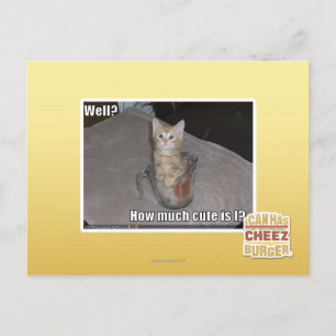 Well? Postcard
