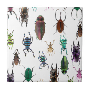 Wellcoda Beetle Type Habitat Insect Life Tile