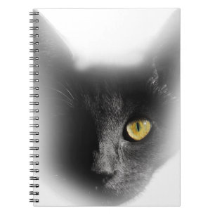 Wellcoda One Eyed Black Cat Freaky Kitten Spiral Notebook