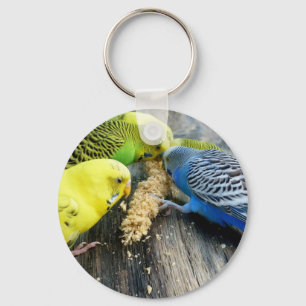 Wellensittiche (Melopsittacus undulatus) Key Ring
