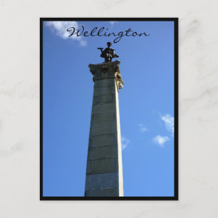 wellington monument seddon postcard