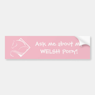 Welsh Bumper Sticker