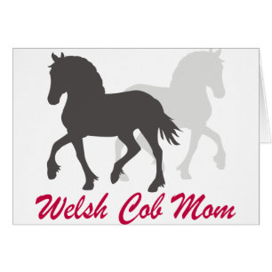 Welsh Cob Mum