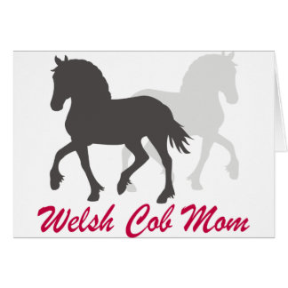 Welsh Cob Mum