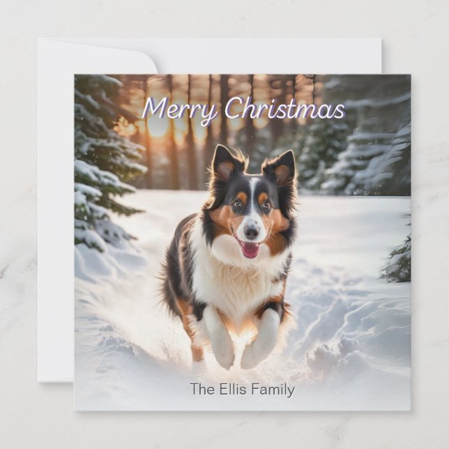 Welsh Collie Dog Snow Watercolor Merry Christmas Holiday Card (Front)