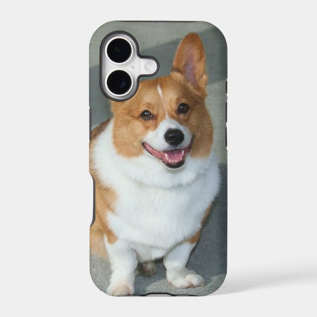 Welsh Corgi (Back)