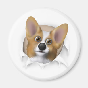 Welsh Corgi 1 Busting Out Magnet