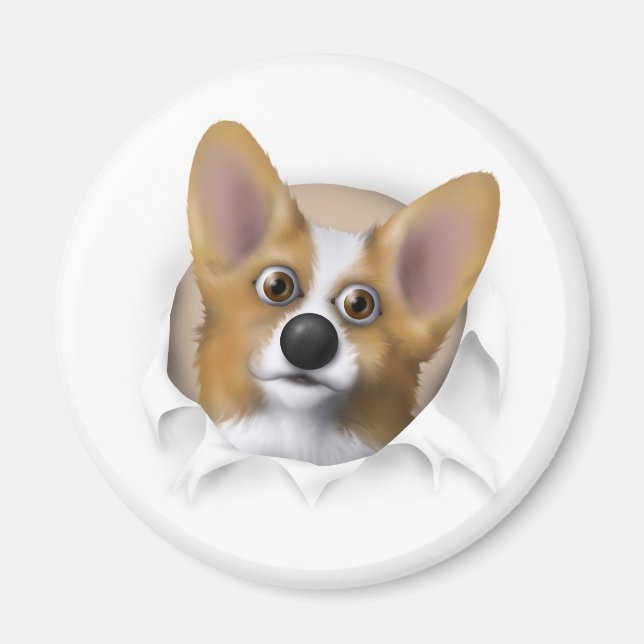 Welsh Corgi 1 Busting Out Magnet (Front)