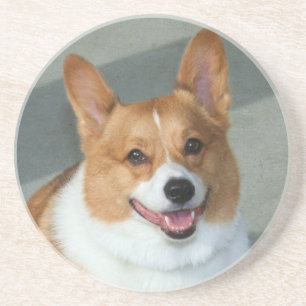 Welsh Corgi coaster