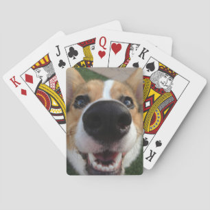 Welsh Corgi Dog Nose Collection Playing Cards