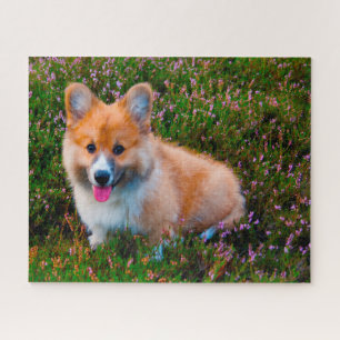 Welsh Corgi Dogs Jigsaws. Jigsaw Puzzle