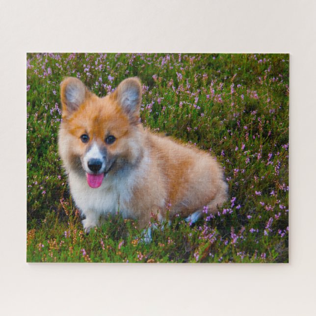 Welsh Corgi Dogs Jigsaws. Jigsaw Puzzle (Horizontal)