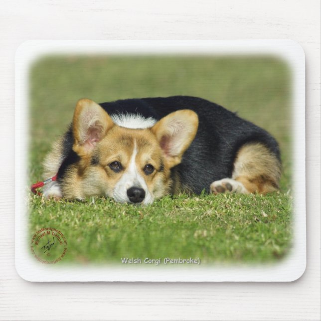Welsh Corgi (Pembroke) Mouse Pad (Front)