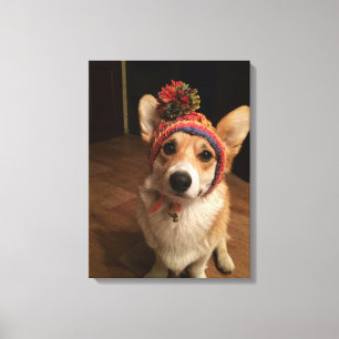 Welsh Corgi Pembroke Wearing A Hand Knitted Hat Canvas Print