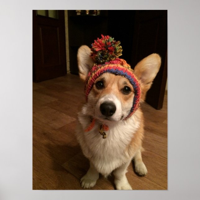 Welsh Corgi Pembroke Wearing A Hand Knitted Hat Poster (Front)