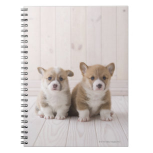 Welsh Corgi Puppies Spiral Notebook