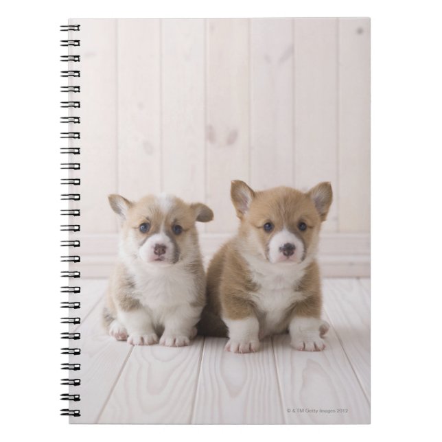 Welsh Corgi Puppies Spiral Notebook (Front)
