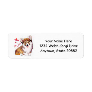 Welsh Corgi Puppy with Hearts
