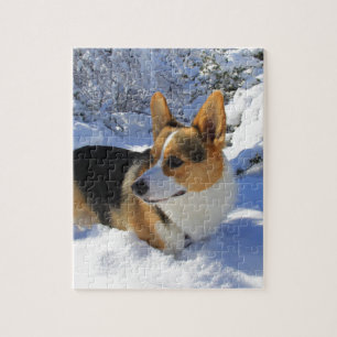 Welsh Corgi Snow Day Jigsaw Puzzle