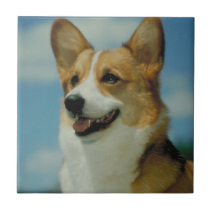 Welsh Corgi Tile