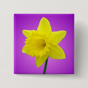 Welsh Daffodil - III 15 Cm Square Badge