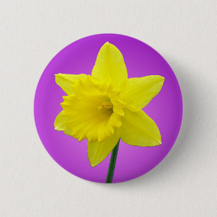 Welsh Daffodil - III - Round 6 Cm Round Badge