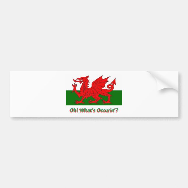 welsh dragon bumper sticker (Front)