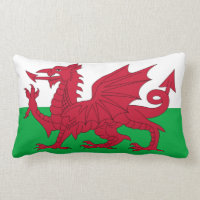 Welsh Dragon ~ Flag of Wales