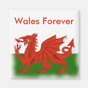 Welsh Dragon Magnet