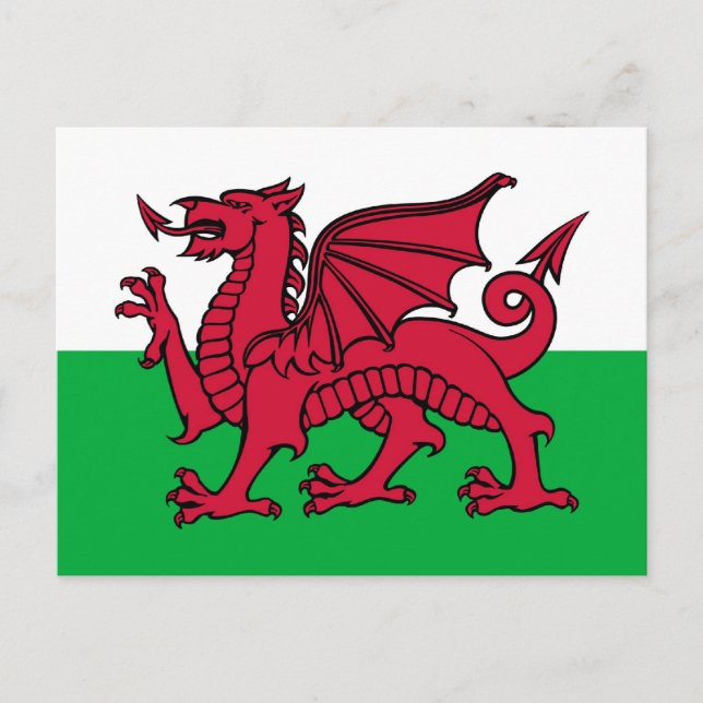 Welsh Dragon Postcard (Front)