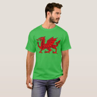 Welsh Dragon With a Bevel Effect