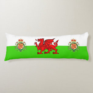 Welsh flag body cushion