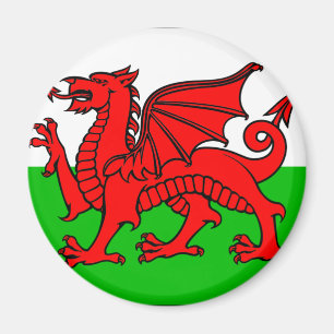 Welsh flag magnet
