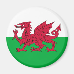 Welsh Flag Magnet