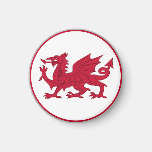 Welsh Flag Magnet