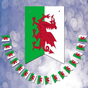 Welsh Flag & Party Wales Banners / Cymru Weddings