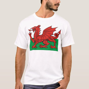 Welsh flag, wear it with pride T-Shirt