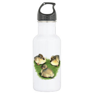 Welsh Harlequin Ducklings 532 Ml Water Bottle